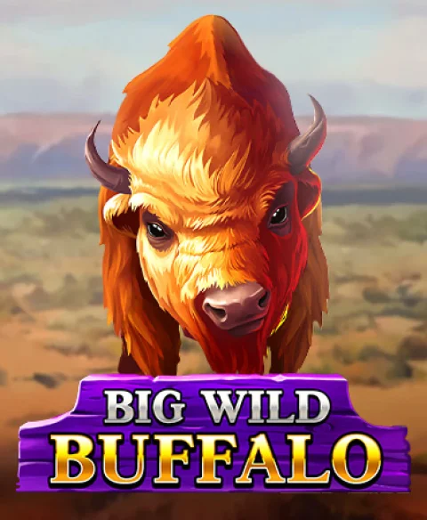 Play Big Wild Buffalo at Sports And Casino